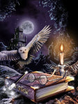 Owl Night Book Diamond Painting Kit - DIY