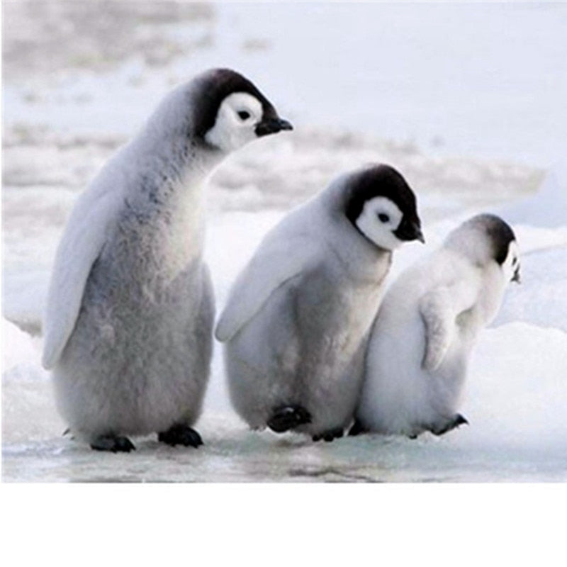 Three Lovely Penguins Diamond Painting Kit - DIY