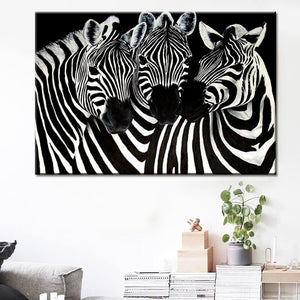 Animal Zebra Diamond Painting Kit - DIY