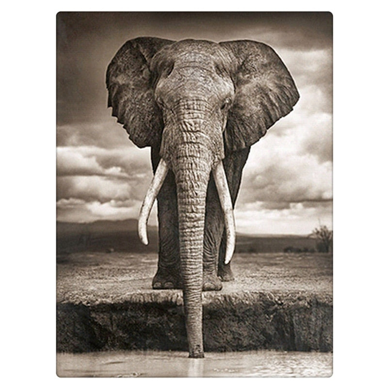 Drinking Elephant Diamond Painting Kit - DIY