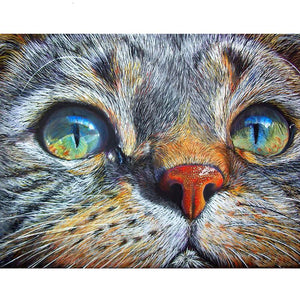Cat face Diamond Painting Kit - DIY – Diamond Painting Kits