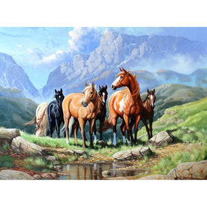 Horse On The Grass Diamond Painting Kit - DIY
