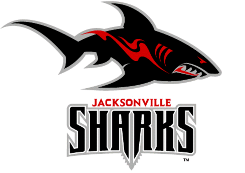 Sharks Jacksonville Diamond Painting Kit - DIY