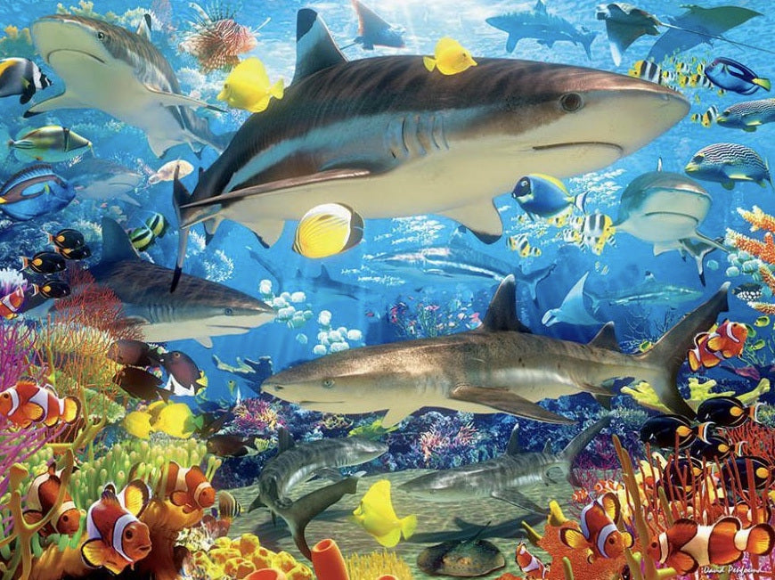 Shark Fish Diamond Painting Kit - DIY