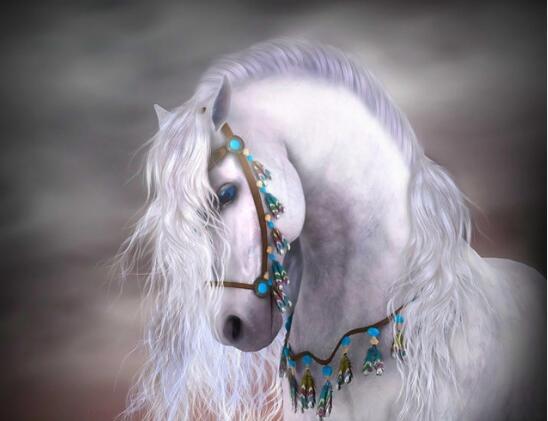 Horse White Night Diamond Painting Kit - DIY – Diamond Painting Kits