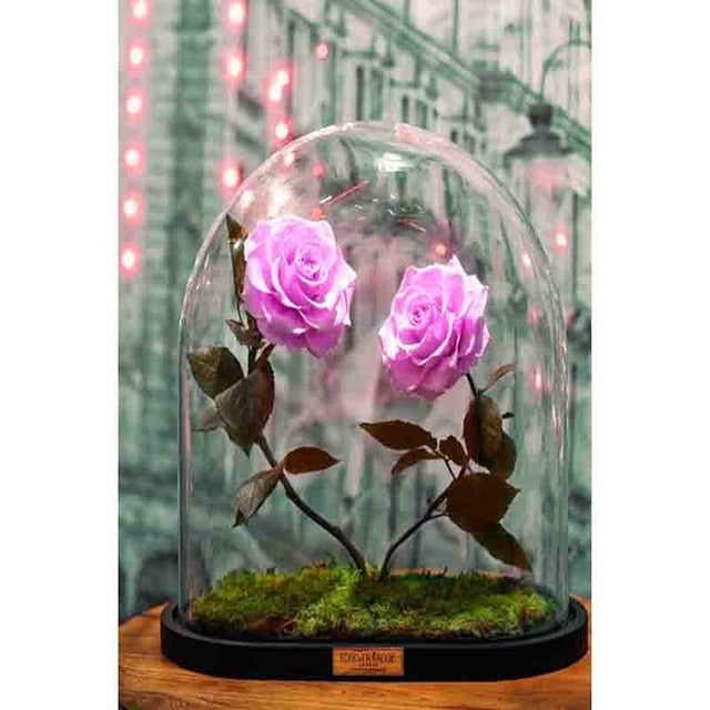 Beauty and The Beast Glass Rose - Premium Diamond Painting Kit